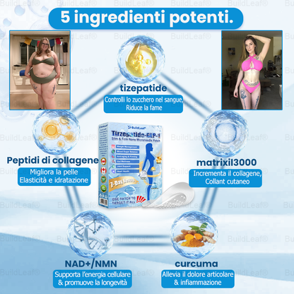 Clinicamente testato · Cerotto a microaghi nano BuildLeaf® Slim & Firm con Moringa, Omega-3, Peptidi di Collagene, NAD e NMN per obesità, salute cardiovascolare, diabete, apnea notturna, articolazioni, pelle e anti-età.