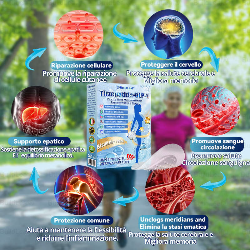 Clinicamente testato · Cerotto a microaghi nano BuildLeaf® Slim & Firm con Moringa, Omega-3, Peptidi di Collagene, NAD e NMN per obesità, salute cardiovascolare, diabete, apnea notturna, articolazioni, pelle e anti-età.