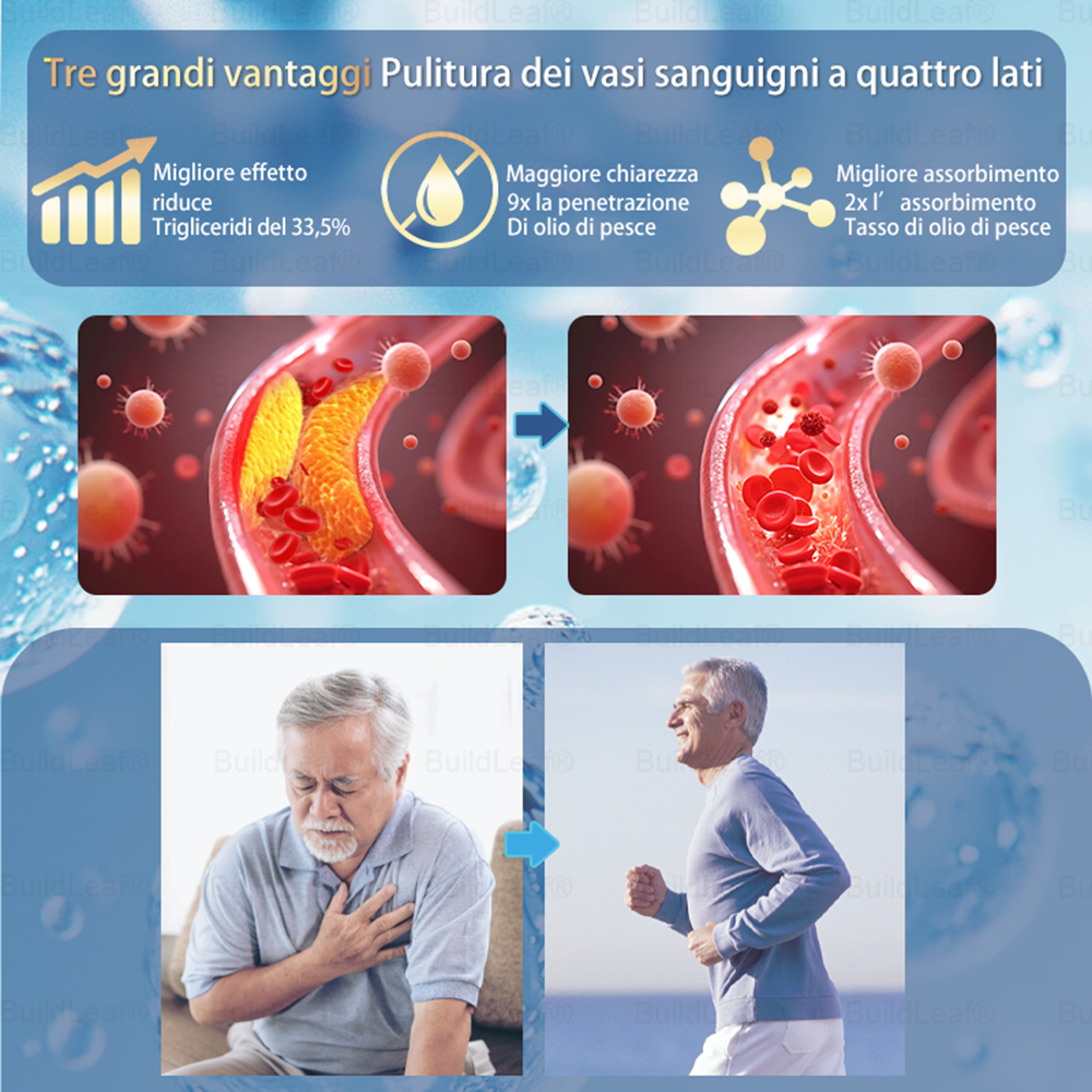 Clinicamente testato · Cerotto a microaghi nano BuildLeaf® Slim & Firm con Moringa, Omega-3, Peptidi di Collagene, NAD e NMN per obesità, salute cardiovascolare, diabete, apnea notturna, articolazioni, pelle e anti-età.